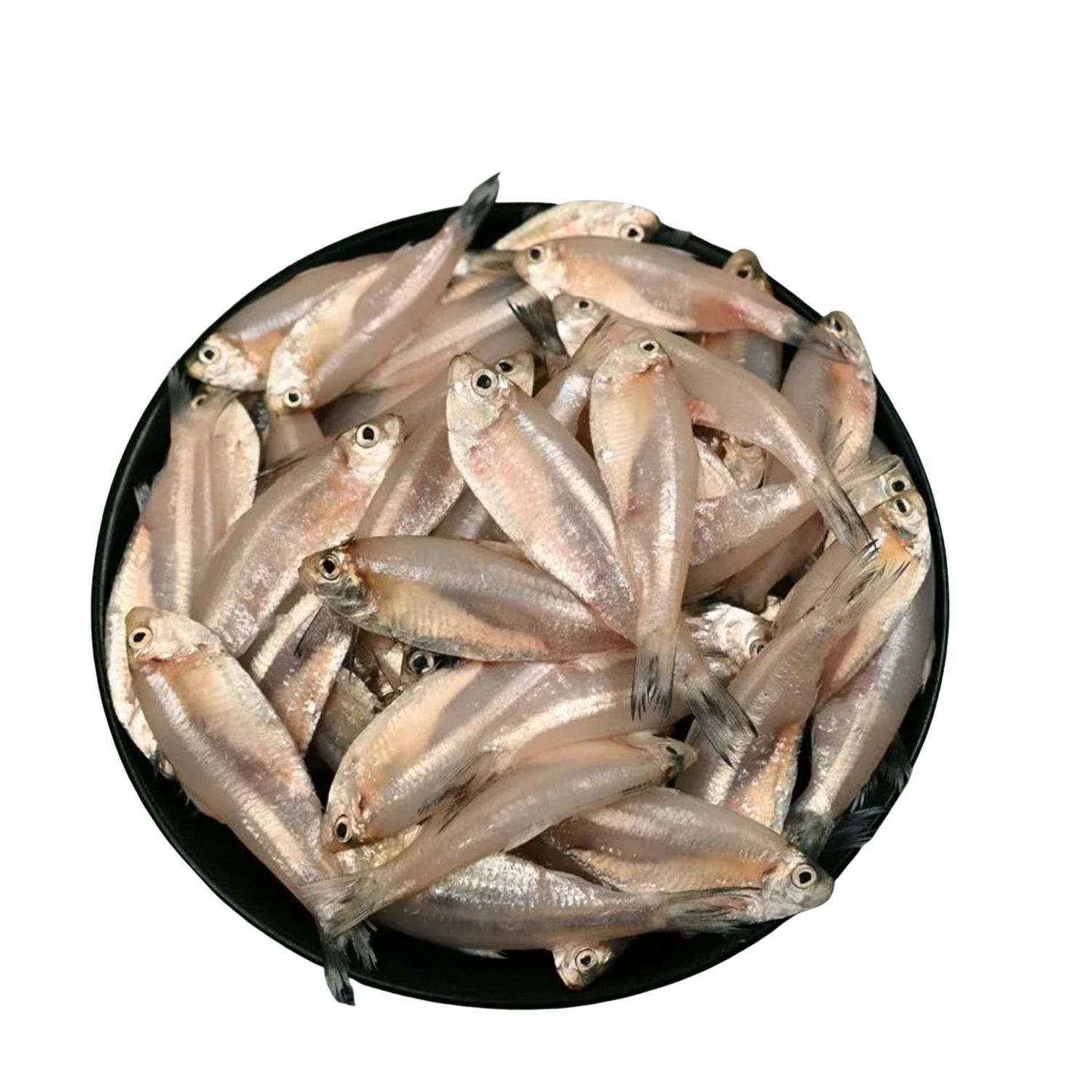Mourala Fish - Whole